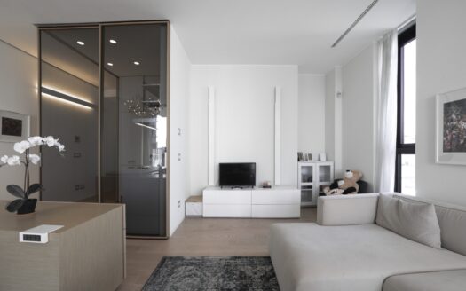 Two-room Apartment for Rent in Torre Solaria Milan